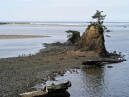 siletz灣,俄勒岡,海岸