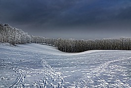冬天,雪,草地