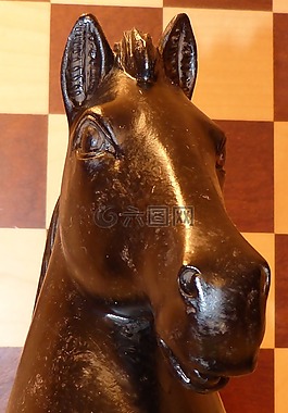 象棋,施普林格,马