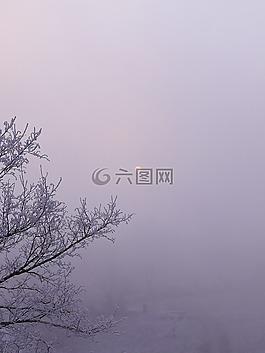 冬季,太陽,霧