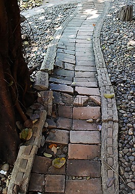路徑,走道,戶外