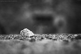 鵝卵石,石頭,墻上