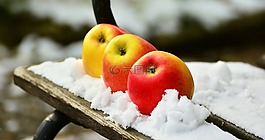 蘋果,雪,冬天