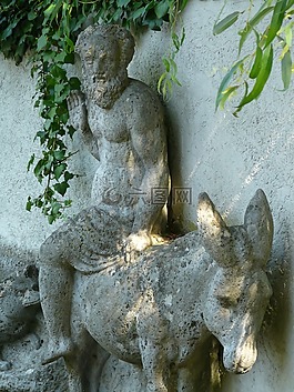 數(shù)字,男子,驢