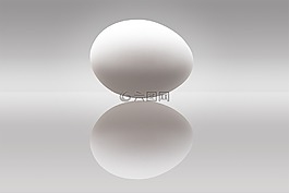 雞蛋,蛋白質,卵形