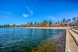 湖,夏天,度假村