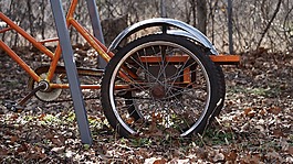 自行車,車輪,老