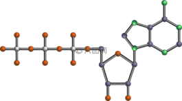 分子,核苷酸,atp