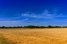 天空,藍色,字段