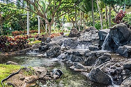 度假村,大瀑布,花園
