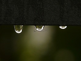 滴,雨滴,水