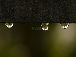 滴,雨滴,水