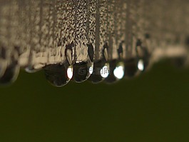 滴,雨滴,水