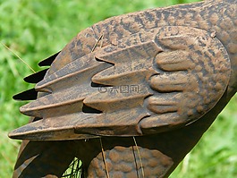 翼,金屬,銅