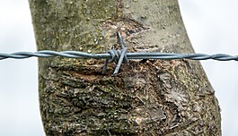 鐵絲網(wǎng),線,旋轉(zhuǎn)