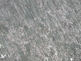 瓢潑大雨,暴雨,雨