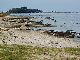 厄蘭島,瑞典,海