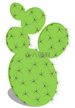 仙人掌,花椒梨,带刺