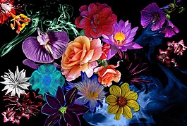 鮮花,雜,保存