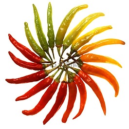 辣椒粉,辣椒,尖銳