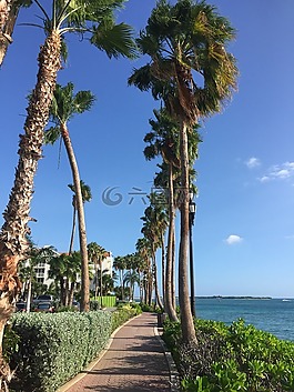 阿魯巴,海灘,加勒比海