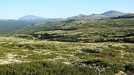 景觀,平原,山