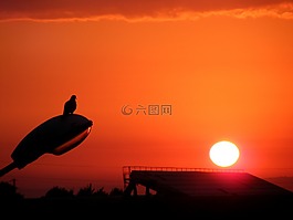 東,太陽,燈籠