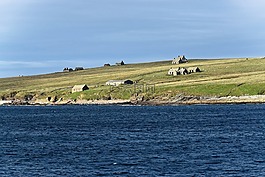 海景,景觀,海岸線