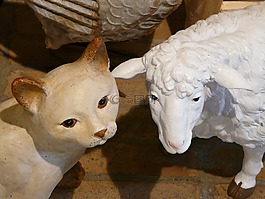 貓,羊,數(shù)字