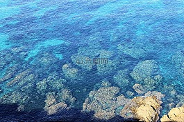 科西嘉,海,水