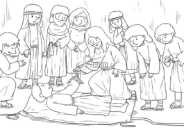 圣經(jīng),storying,ccx