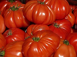 蕃茄,紅色,市場(chǎng)