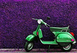大黃蜂類,滾子,這輛摩托車