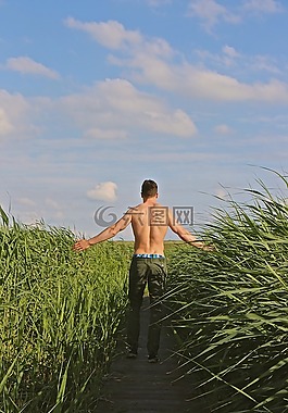 男子,強,運動型