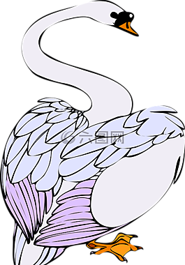 天鵝,鳥,白