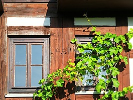 窗口,太陽(yáng),建設(shè)