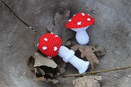 蘑菇,飛木耳,針織的