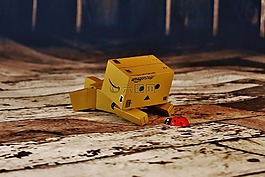 danbo,關(guān)注,瓢蟲