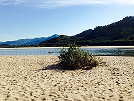 蟾津,河,砂