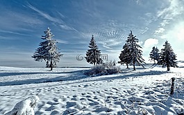 温特斯,景观,雪