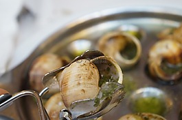 蝸牛,巴黎,eseukkareugo