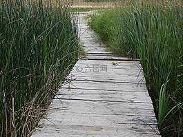 塢站,木材,路徑