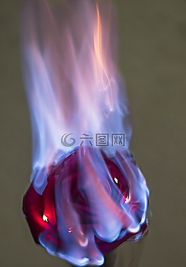 死亡的美麗,燃燒的玫瑰,脆弱