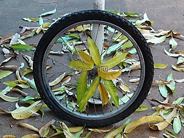 車輪,自行車,被盜