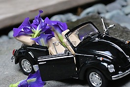 模型車,花,裝修