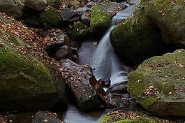 溪,水,石