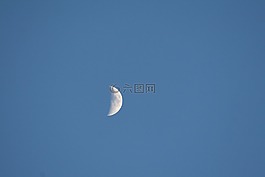 天空,月亮,傍晚的天空