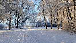 雪域國,冬地國家,雪