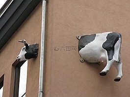 牛,門面房,家門前