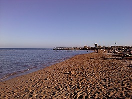 沙,海灘,海
